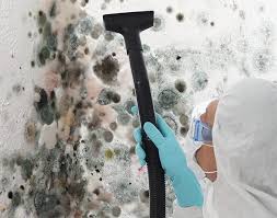 Best Mold Documentation for Insurance Claims  in Houston, MS